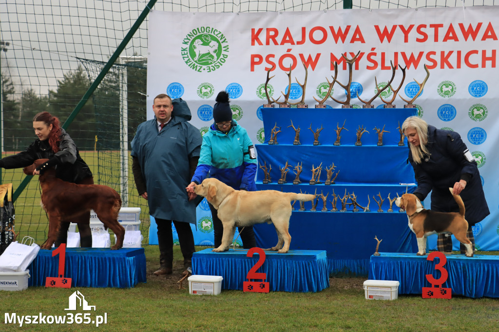Krajowa Wystawa Psów Myśliwskich - Gniazdów g. Koziegłowy cz. 2