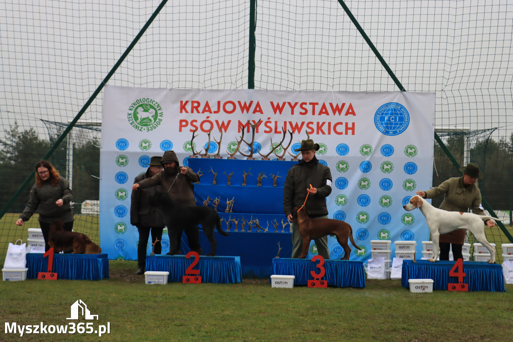 Krajowa Wystawa Psów Myśliwskich - Gniazdów g. Koziegłowy cz. 2
