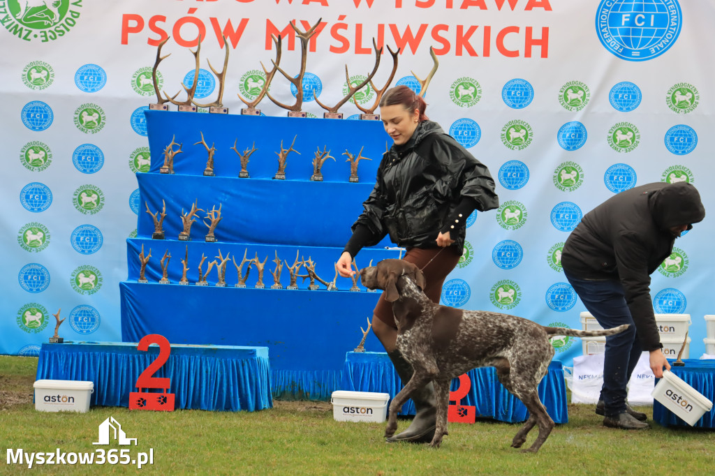 Krajowa Wystawa Psów Myśliwskich - Gniazdów g. Koziegłowy cz. 2