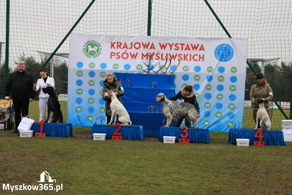 Krajowa Wystawa Psów Myśliwskich - Gniazdów g. Koziegłowy cz. 2