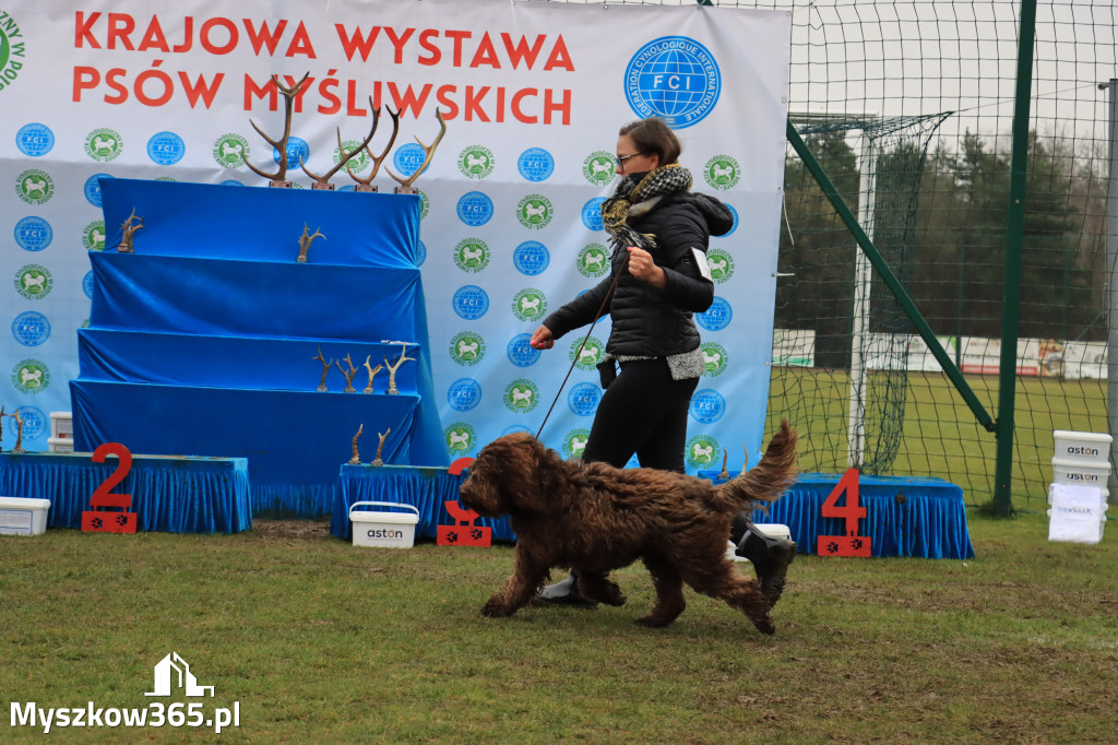 Krajowa Wystawa Psów Myśliwskich - Gniazdów g. Koziegłowy cz. 2