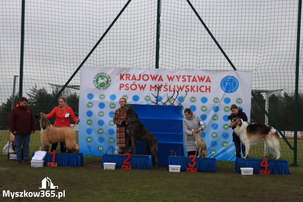 Krajowa Wystawa Psów Myśliwskich - Gniazdów g. Koziegłowy cz. 2