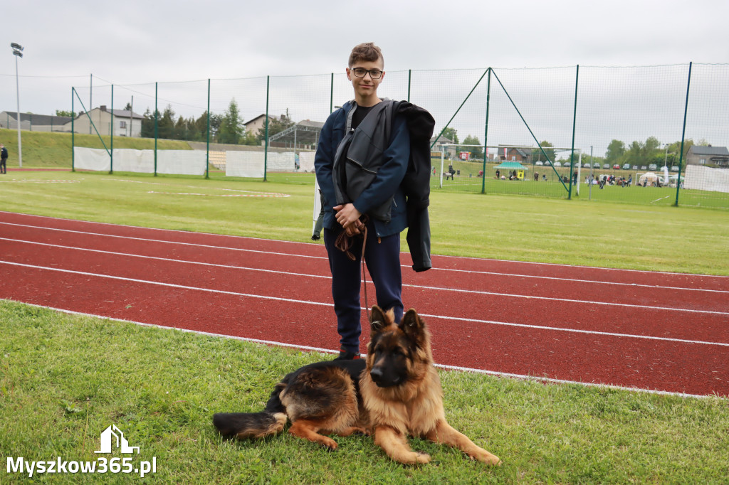 Wystawa Psów Myśliwskich Gniazdów Gmina Koziegłowy