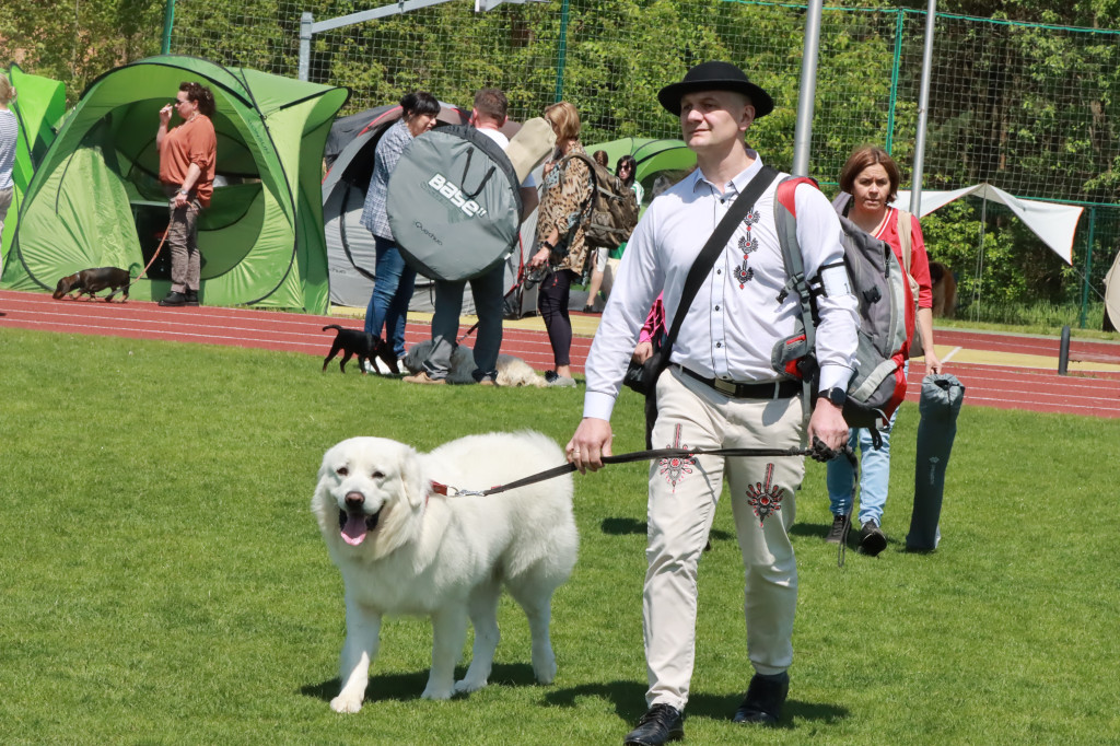 Fotorelacja - Wystawa Psów Rasowych GNIAZDÓW 2023r.