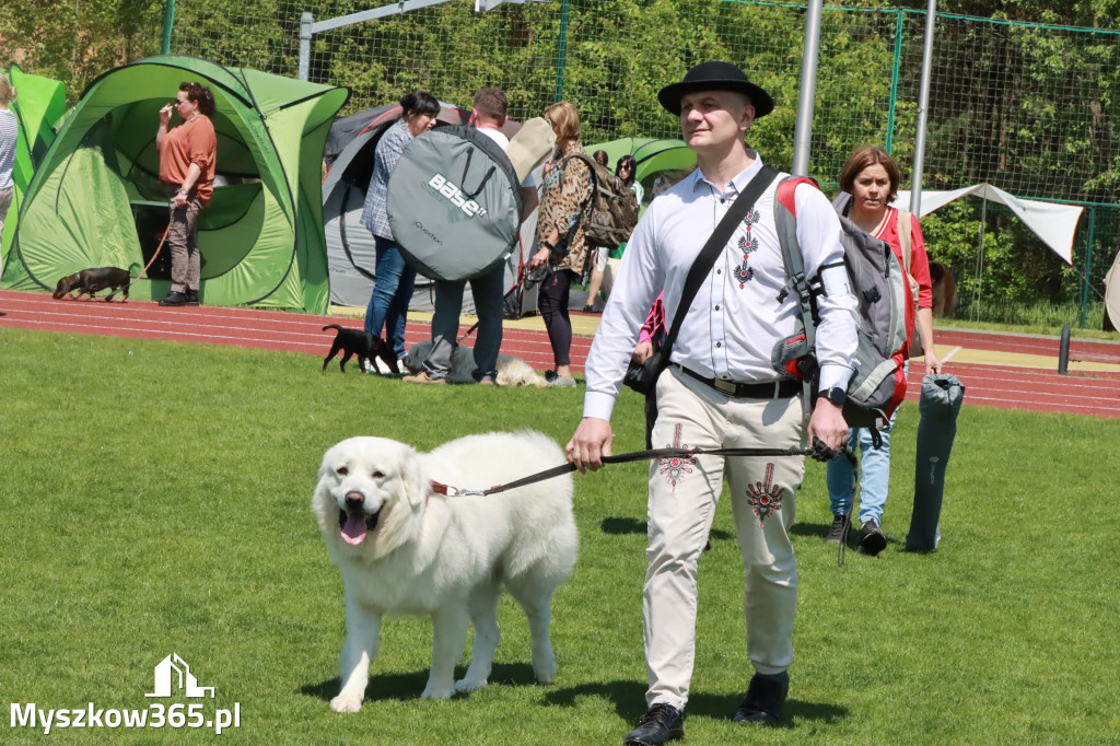 Fotorelacja - Wystawa Psów Rasowych GNIAZDÓW 2023r.