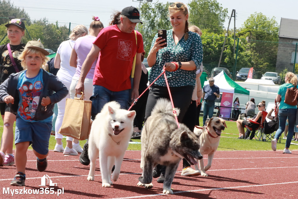 Fotorelacja - Wystawa Psów Rasowych GNIAZDÓW 2023r.