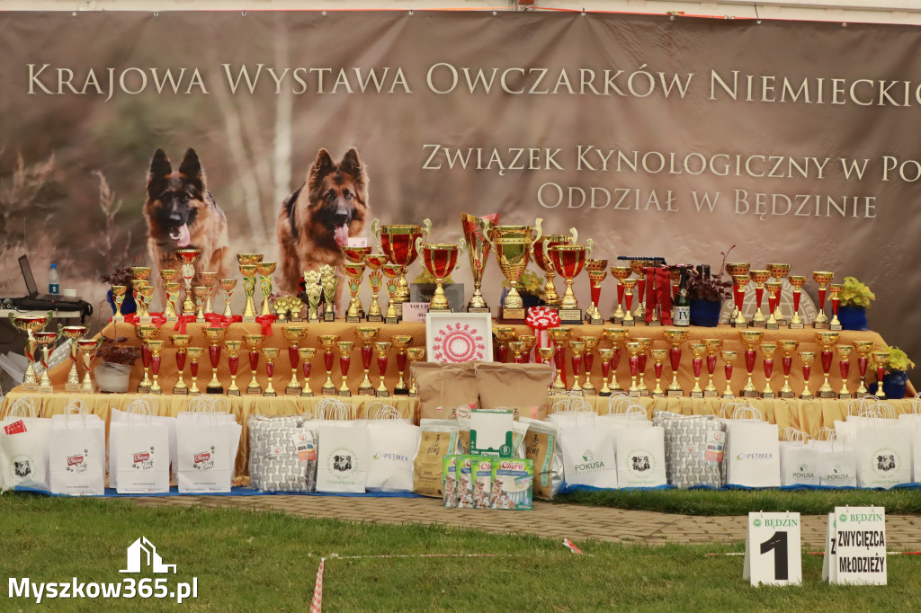 Fotorelacja - Wystawa Psów Rasowych GNIAZDÓW 2023r.