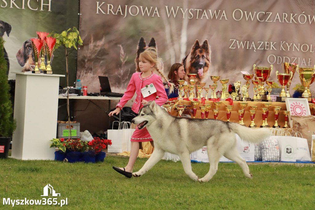 Wystawa Psów Rasowych w GNIAZDOWIE Konkurencje Finałowe