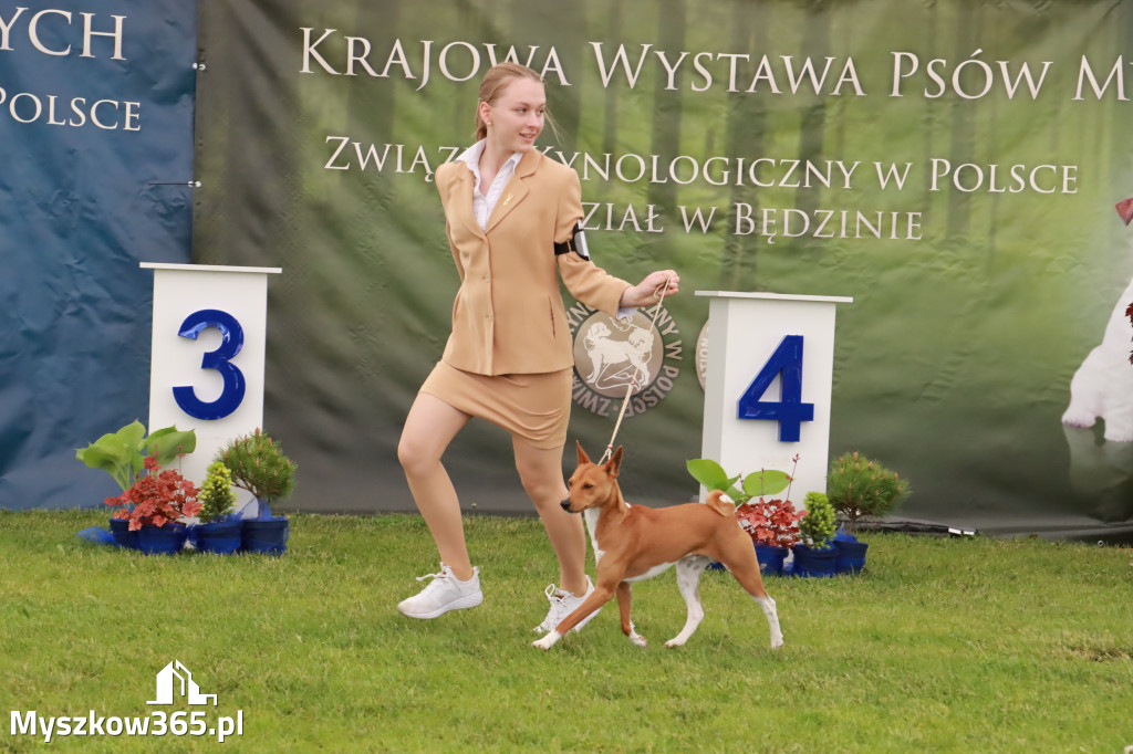 Wystawa Psów Rasowych w GNIAZDOWIE Konkurencje Finałowe