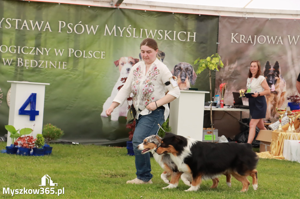 Wystawa Psów Rasowych w GNIAZDOWIE Konkurencje Finałowe