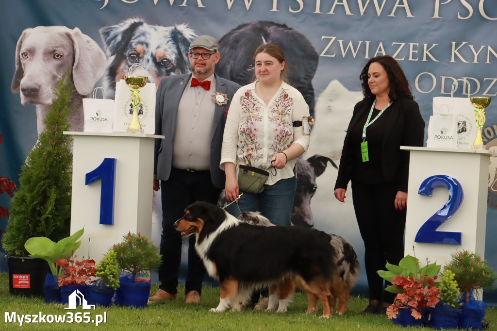 Wystawa Psów Rasowych w GNIAZDOWIE Konkurencje Finałowe