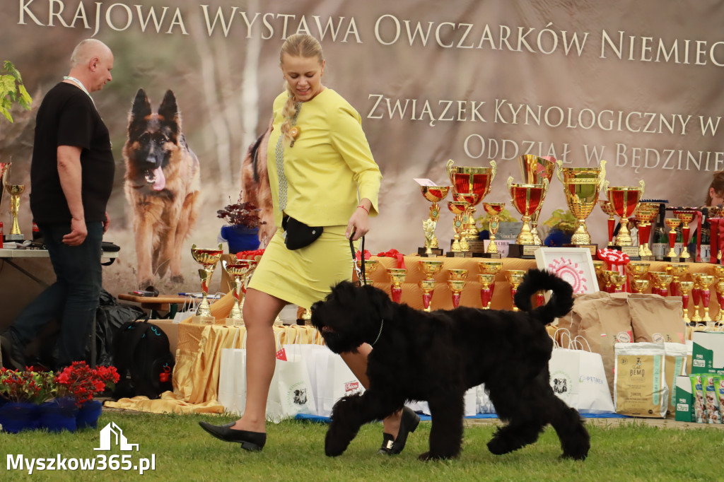 Wystawa Psów Rasowych w GNIAZDOWIE Konkurencje Finałowe