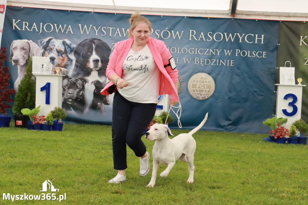 Wystawa Psów Rasowych w GNIAZDOWIE Konkurencje Finałowe