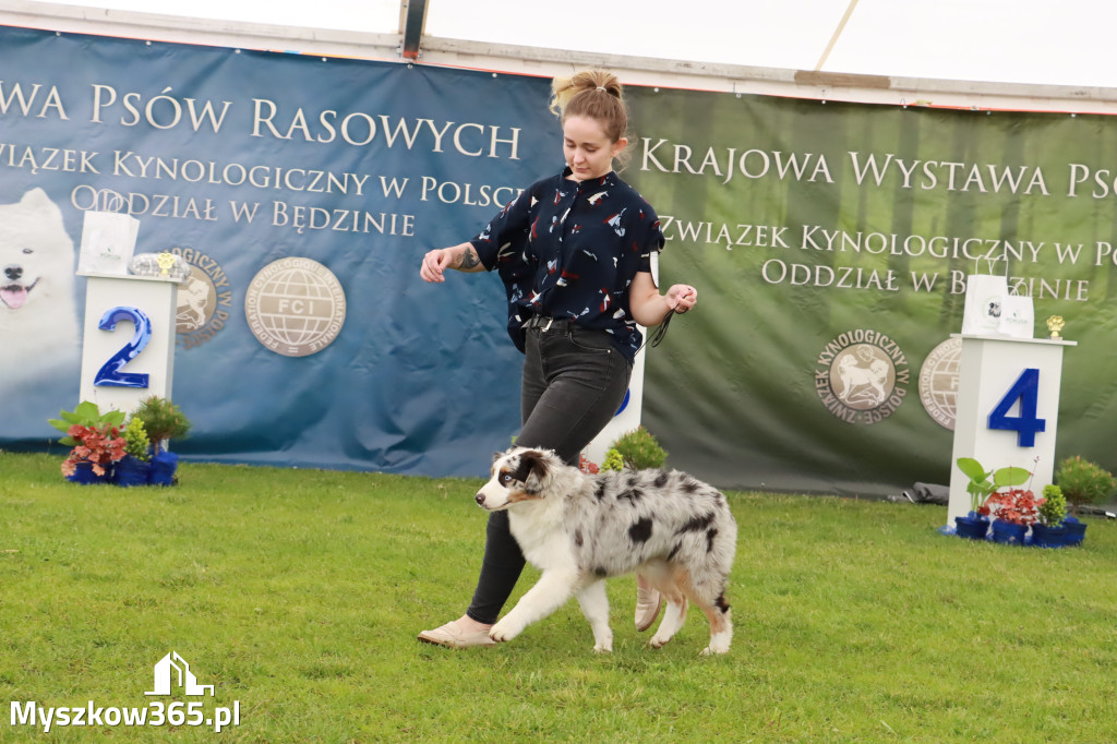 Wystawa Psów Rasowych w GNIAZDOWIE Konkurencje Finałowe