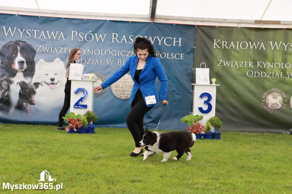 Wystawa Psów Rasowych w GNIAZDOWIE Konkurencje Finałowe