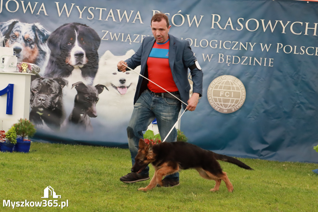 Wystawa Psów Rasowych w GNIAZDOWIE Konkurencje Finałowe