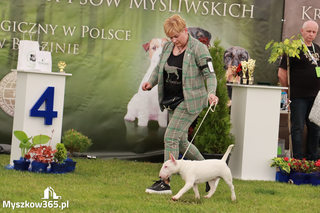 Wystawa Psów Rasowych w GNIAZDOWIE Konkurencje Finałowe