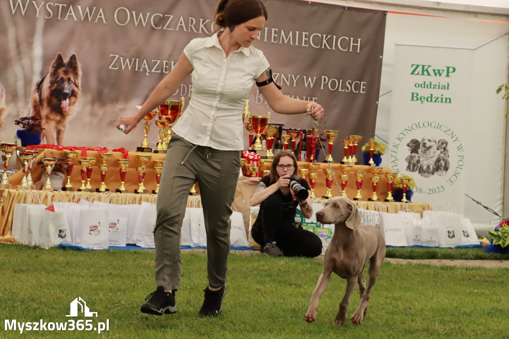 Wystawa Psów Rasowych w GNIAZDOWIE Konkurencje Finałowe