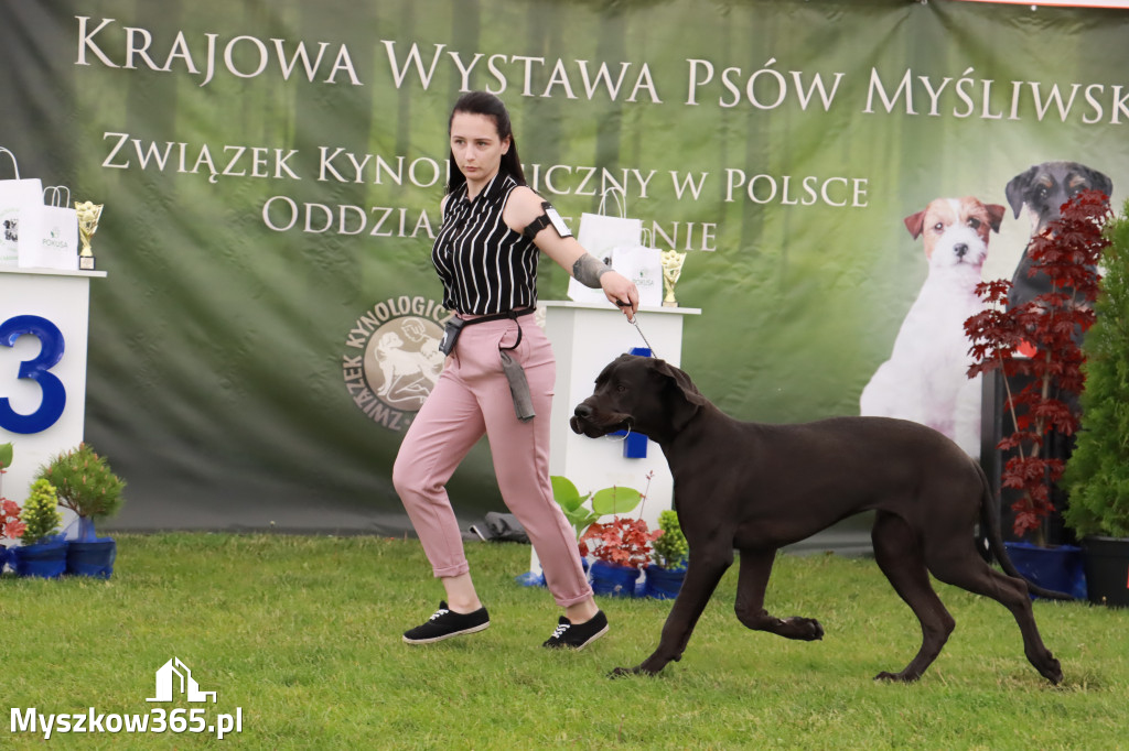 Wystawa Psów Rasowych w GNIAZDOWIE Konkurencje Finałowe