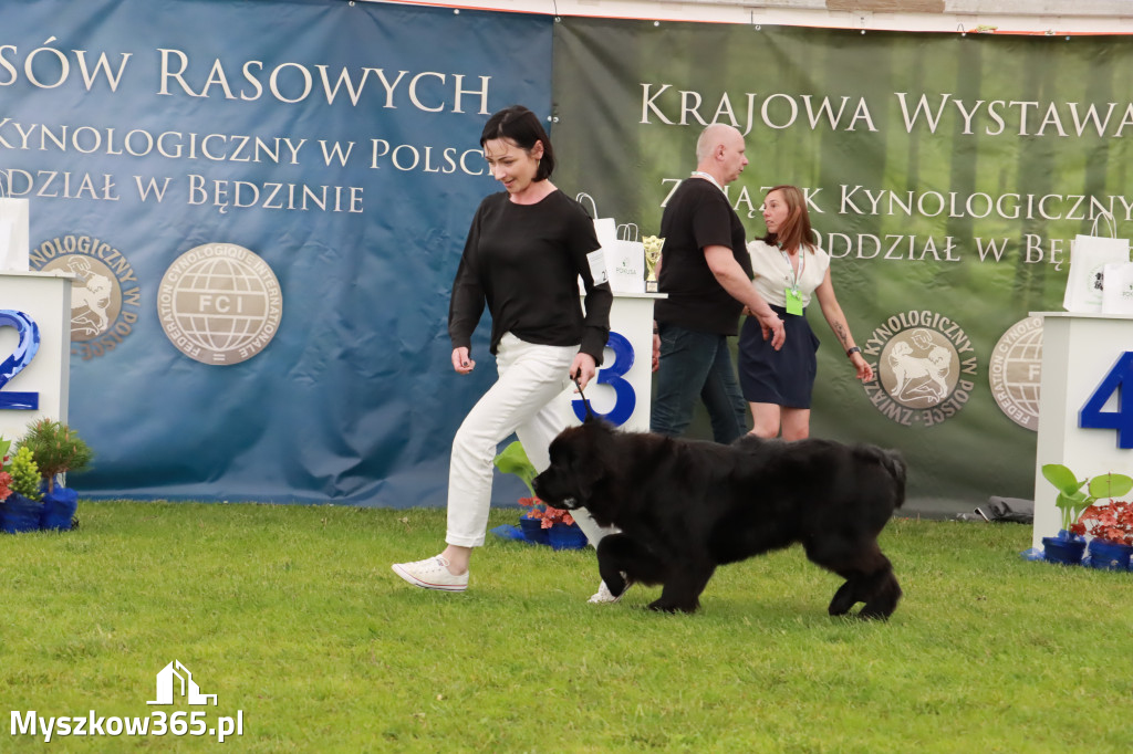 Wystawa Psów Rasowych w GNIAZDOWIE Konkurencje Finałowe