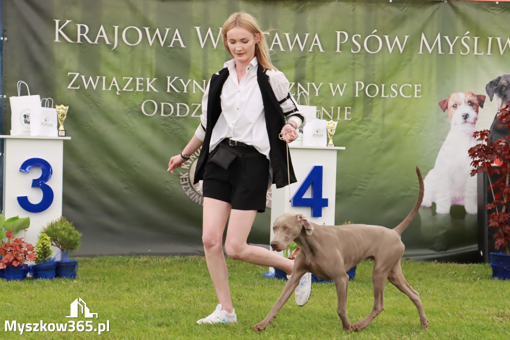 Wystawa Psów Rasowych w GNIAZDOWIE Konkurencje Finałowe