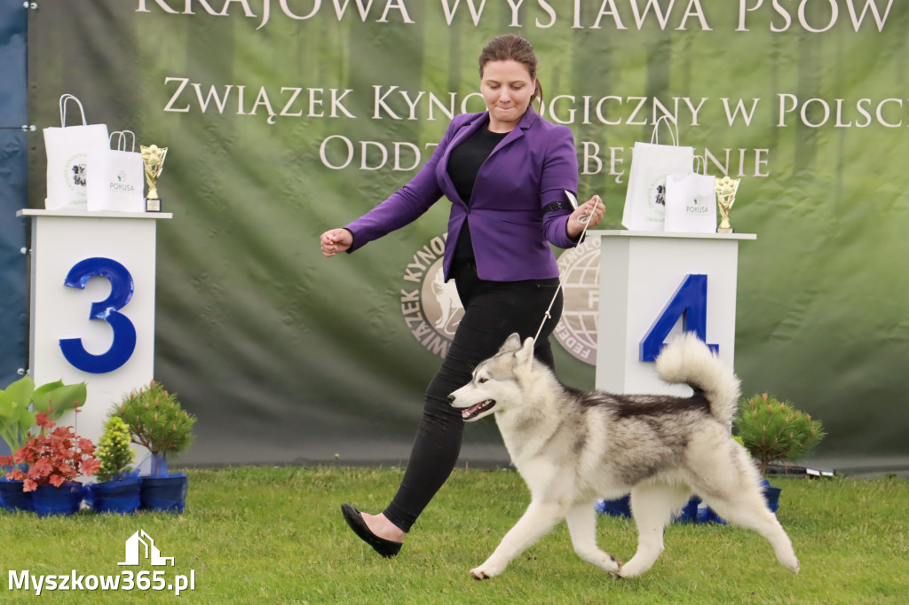 Wystawa Psów Rasowych w GNIAZDOWIE Konkurencje Finałowe