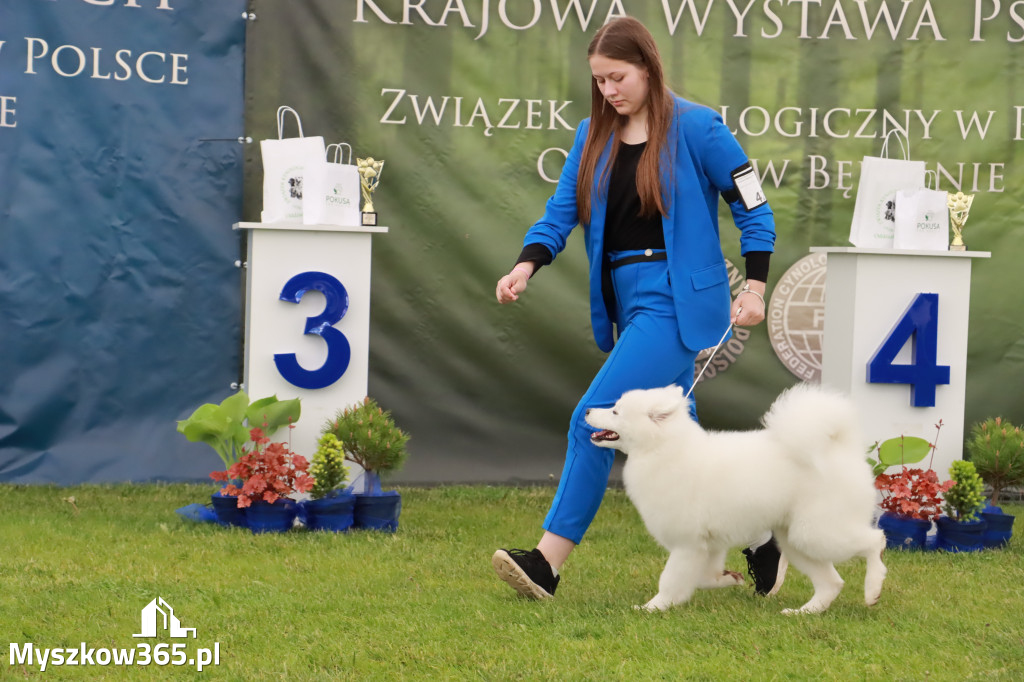 Wystawa Psów Rasowych w GNIAZDOWIE Konkurencje Finałowe