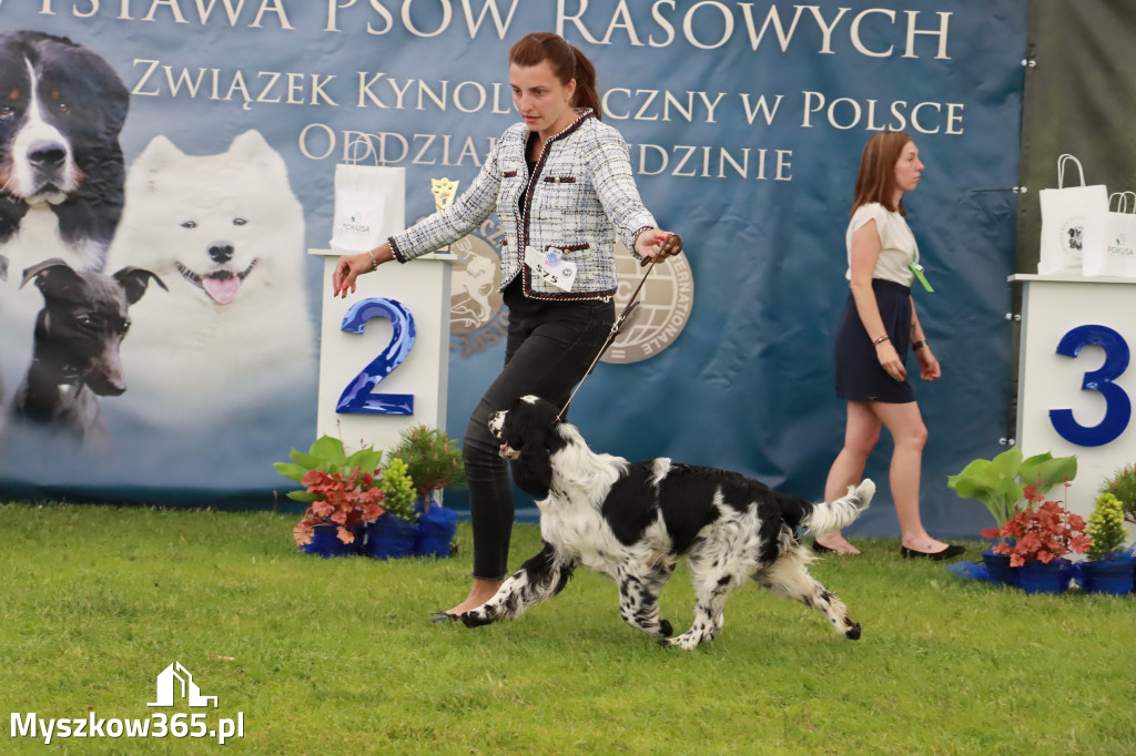 Wystawa Psów Rasowych w GNIAZDOWIE Konkurencje Finałowe