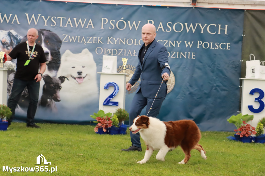 Wystawa Psów Rasowych w GNIAZDOWIE Konkurencje Finałowe