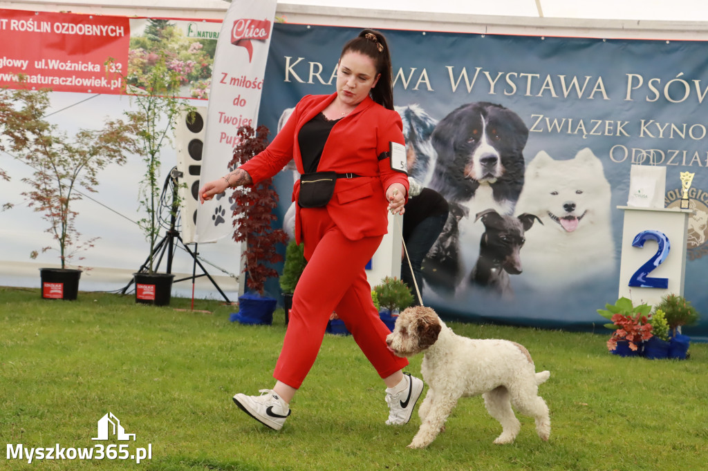 Wystawa Psów Rasowych w GNIAZDOWIE Konkurencje Finałowe