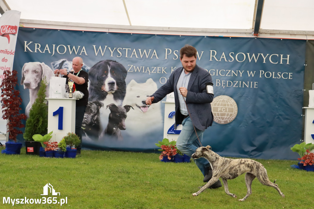 Wystawa Psów Rasowych w GNIAZDOWIE Konkurencje Finałowe