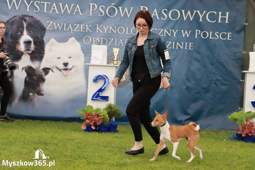 Wystawa Psów Rasowych w GNIAZDOWIE Konkurencje Finałowe