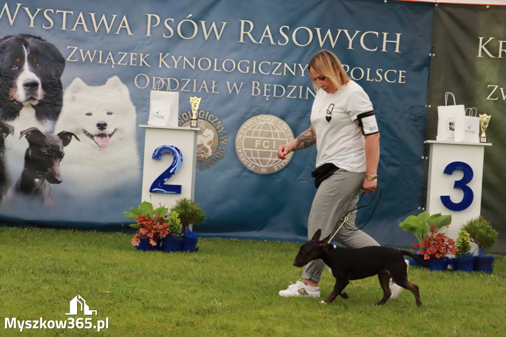 Wystawa Psów Rasowych w GNIAZDOWIE Konkurencje Finałowe