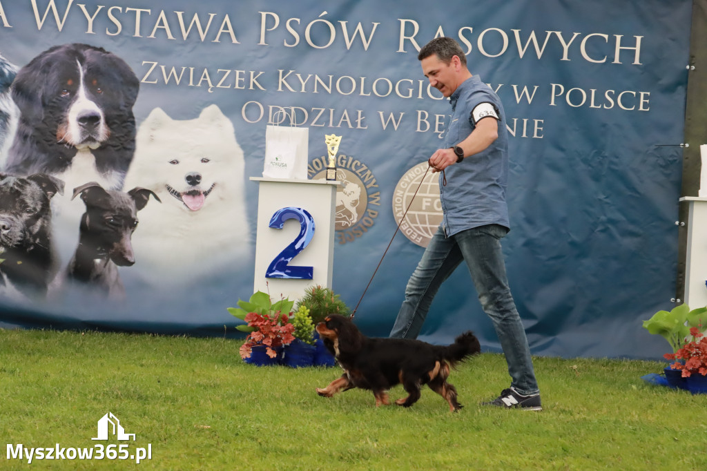 Wystawa Psów Rasowych w GNIAZDOWIE Konkurencje Finałowe