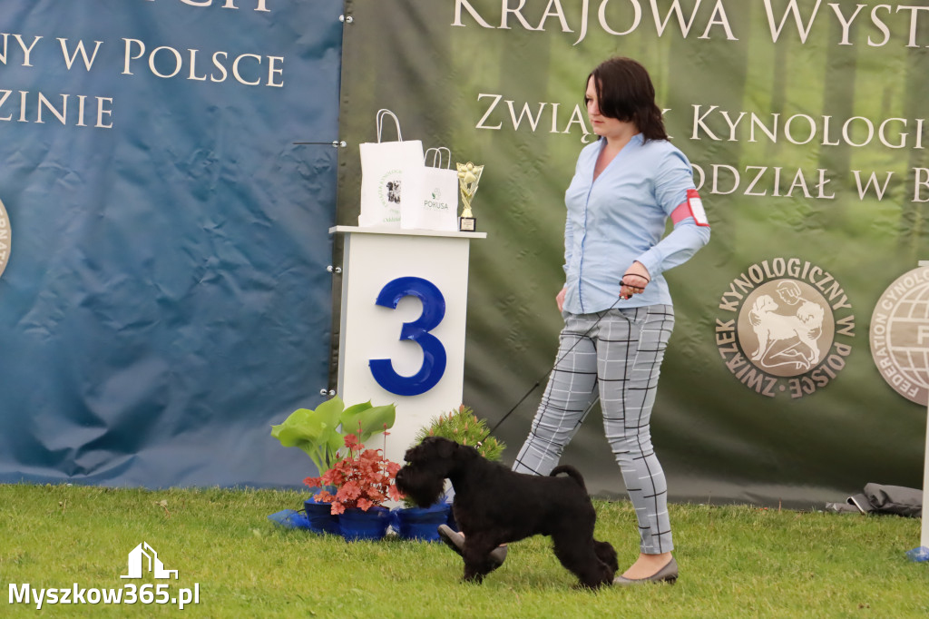 Wystawa Psów Rasowych w GNIAZDOWIE Konkurencje Finałowe