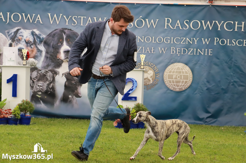 Wystawa Psów Rasowych w GNIAZDOWIE Konkurencje Finałowe