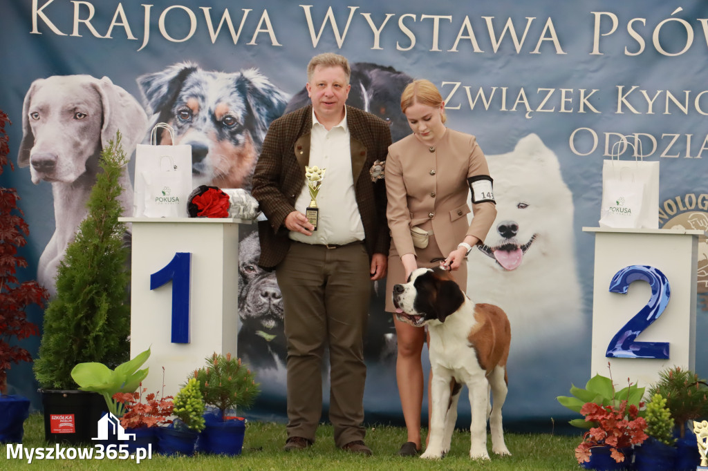 Wystawa Psów Rasowych w GNIAZDOWIE Konkurencje Finałowe