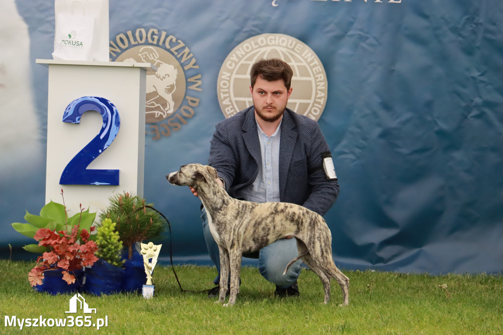 Wystawa Psów Rasowych w GNIAZDOWIE Konkurencje Finałowe