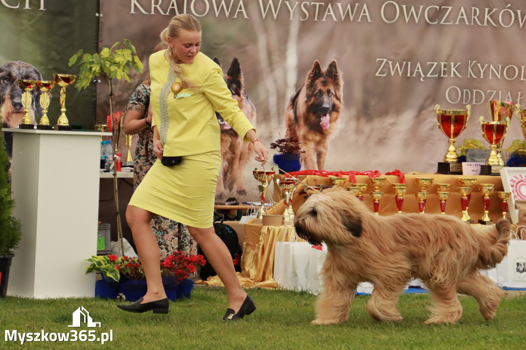 Wystawa Psów Rasowych w GNIAZDOWIE Konkurencje Finałowe