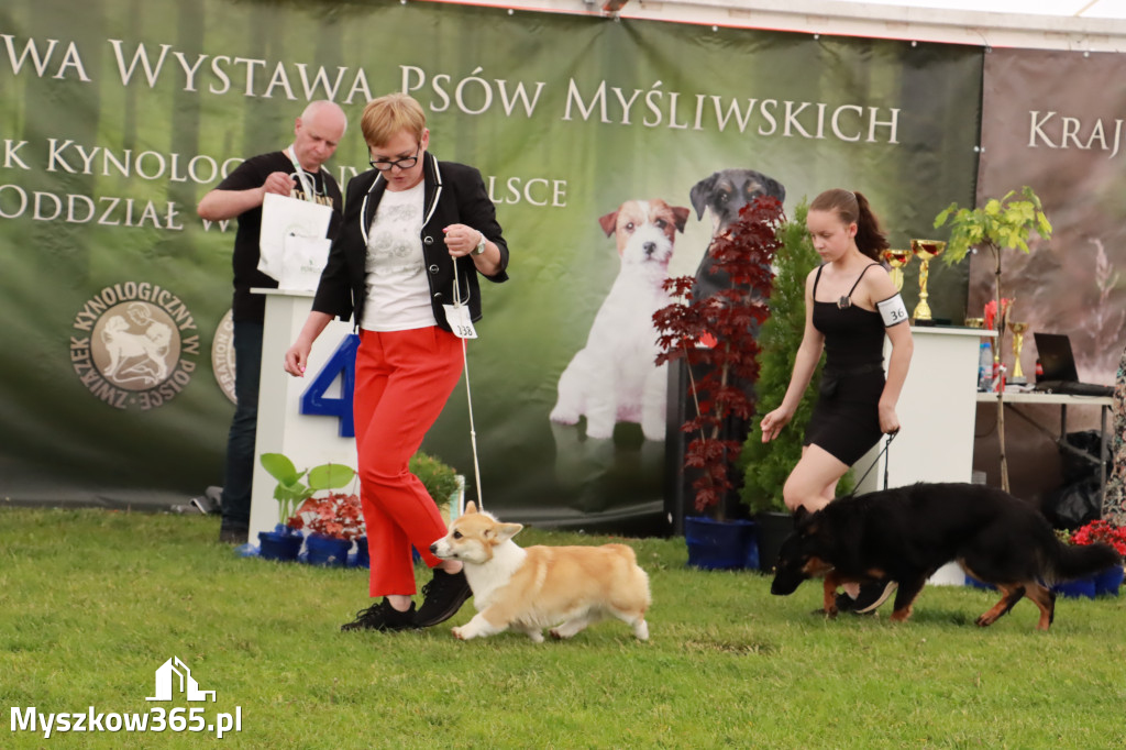 Wystawa Psów Rasowych w GNIAZDOWIE Konkurencje Finałowe