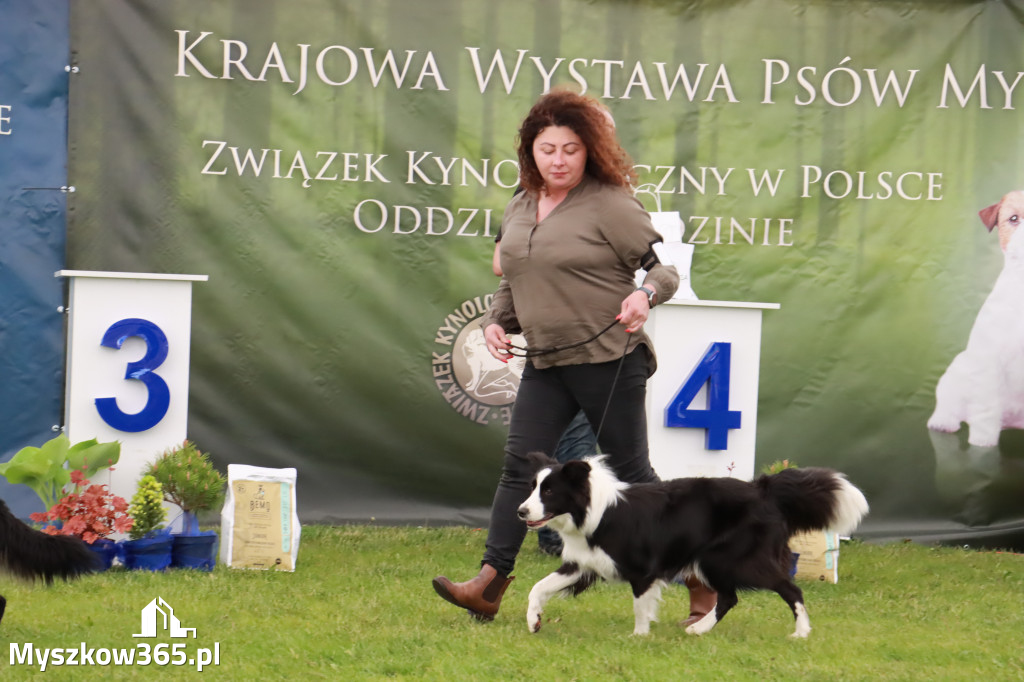 Wystawa Psów Rasowych w GNIAZDOWIE Konkurencje Finałowe