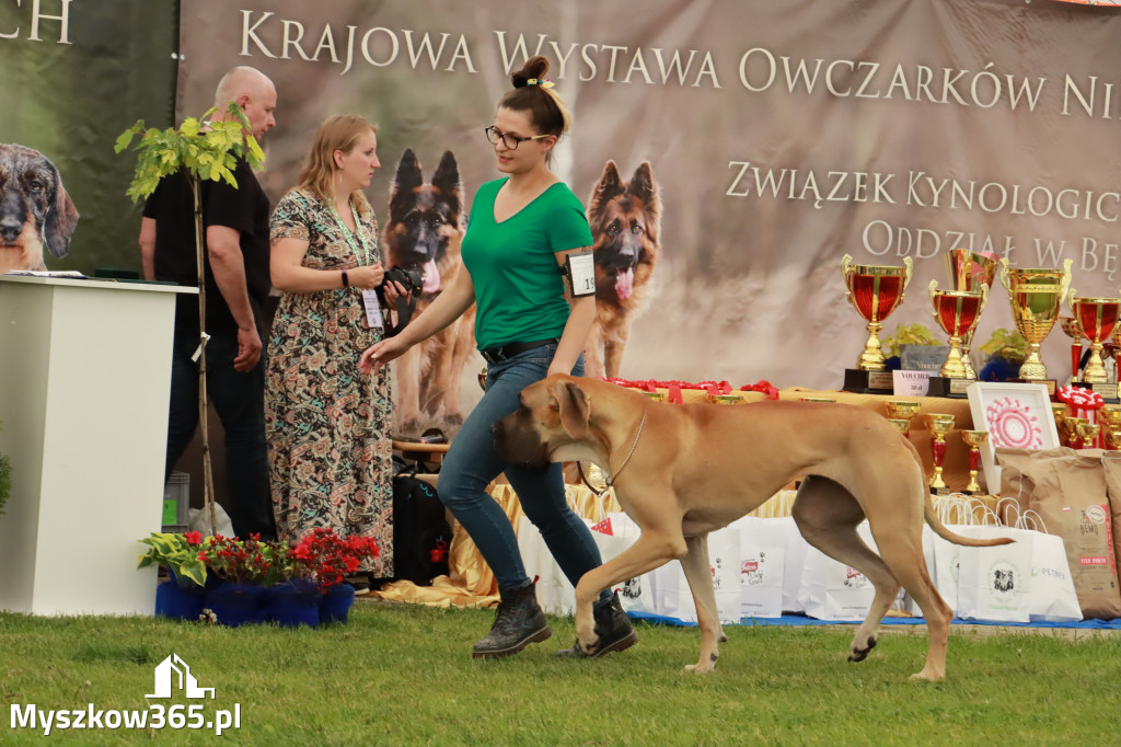 Wystawa Psów Rasowych w GNIAZDOWIE Konkurencje Finałowe