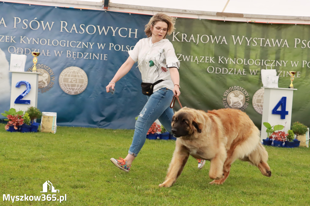 Wystawa Psów Rasowych w GNIAZDOWIE Konkurencje Finałowe