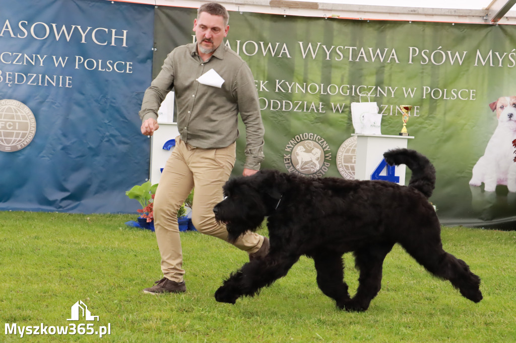 Wystawa Psów Rasowych w GNIAZDOWIE Konkurencje Finałowe