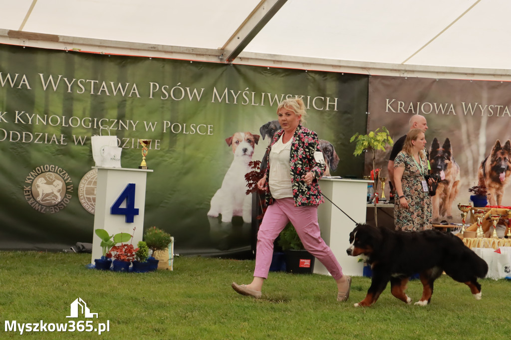 Wystawa Psów Rasowych w GNIAZDOWIE Konkurencje Finałowe