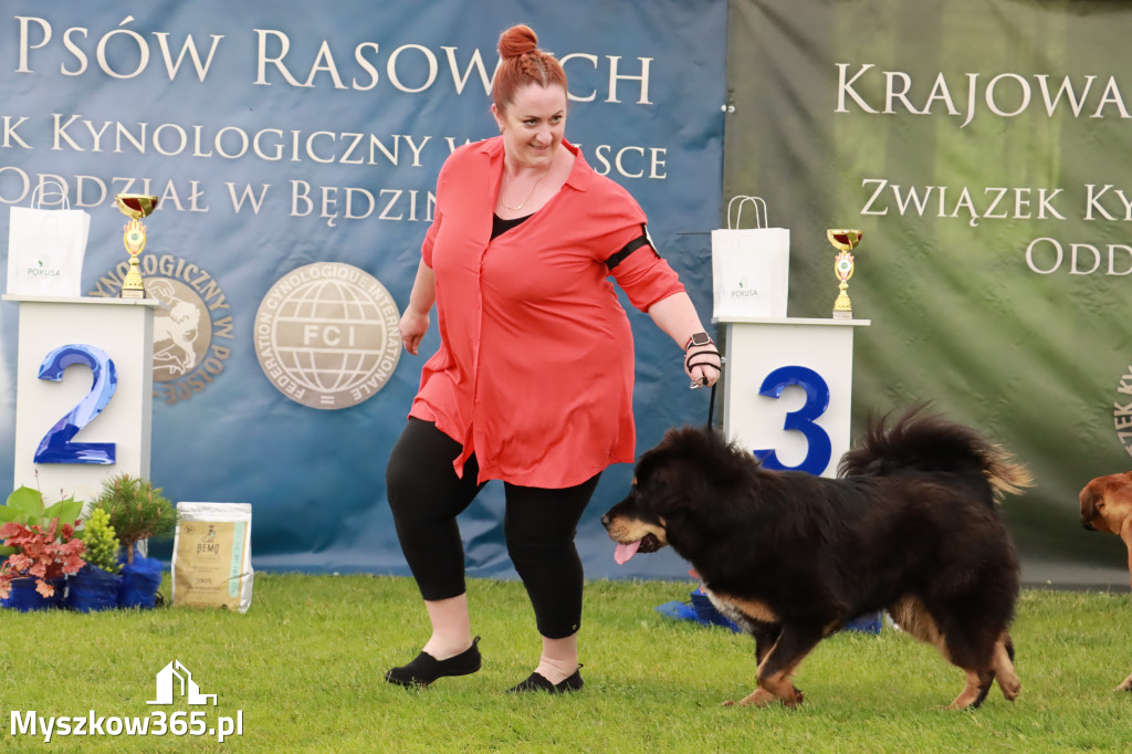 Wystawa Psów Rasowych w GNIAZDOWIE Konkurencje Finałowe