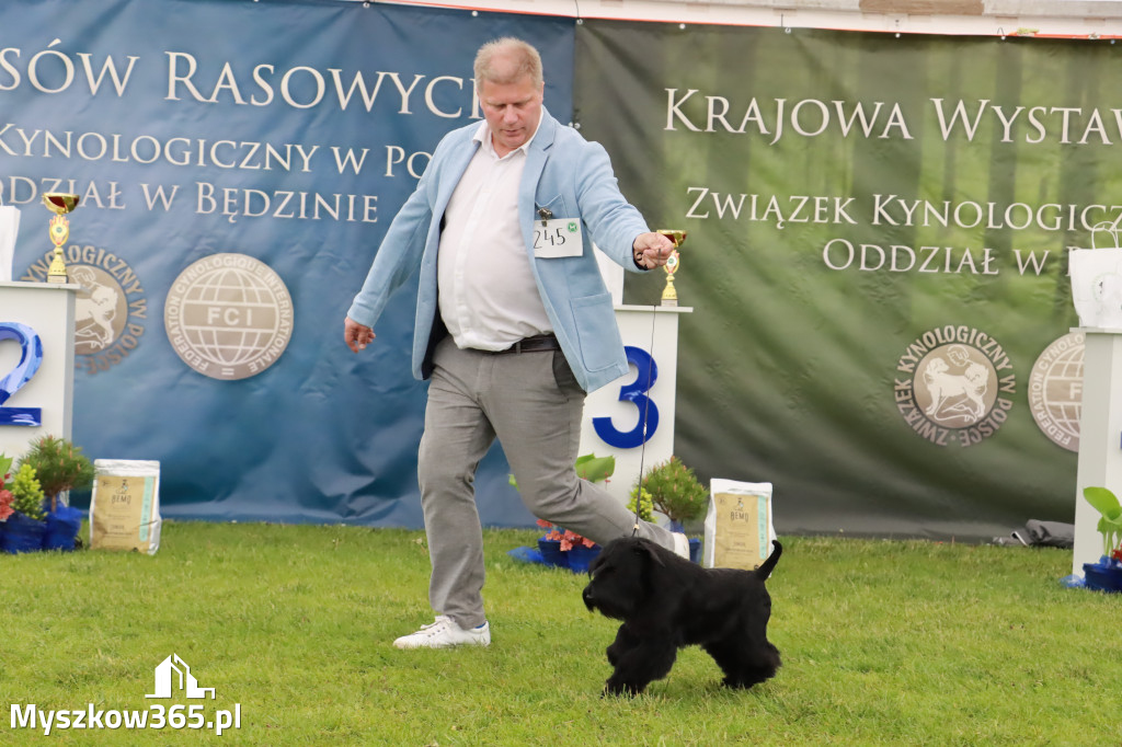 Wystawa Psów Rasowych w GNIAZDOWIE Konkurencje Finałowe