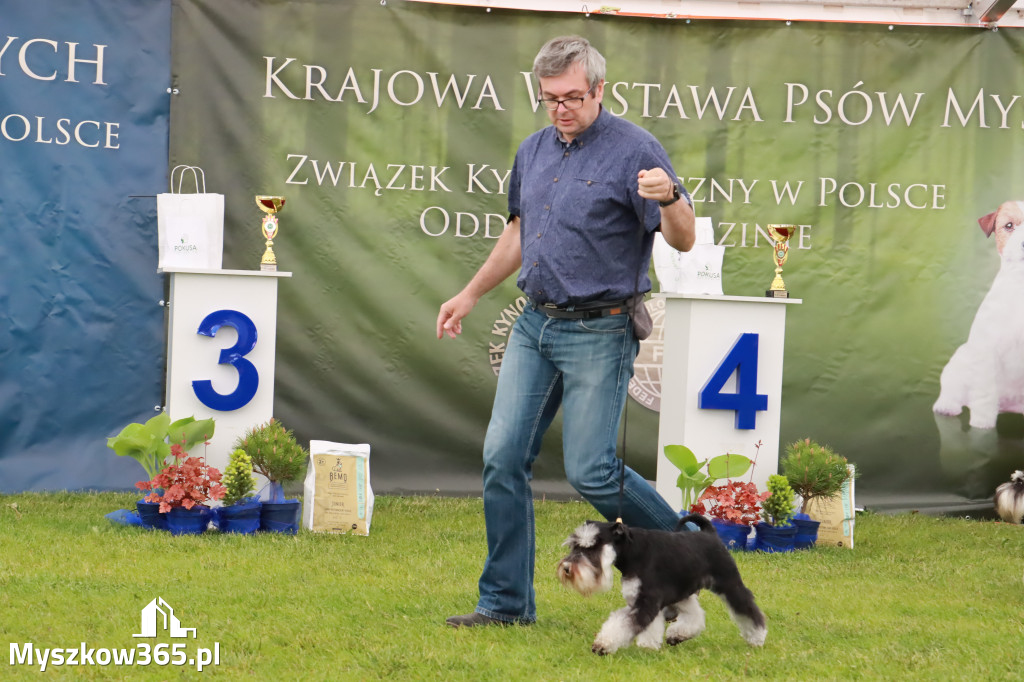 Wystawa Psów Rasowych w GNIAZDOWIE Konkurencje Finałowe