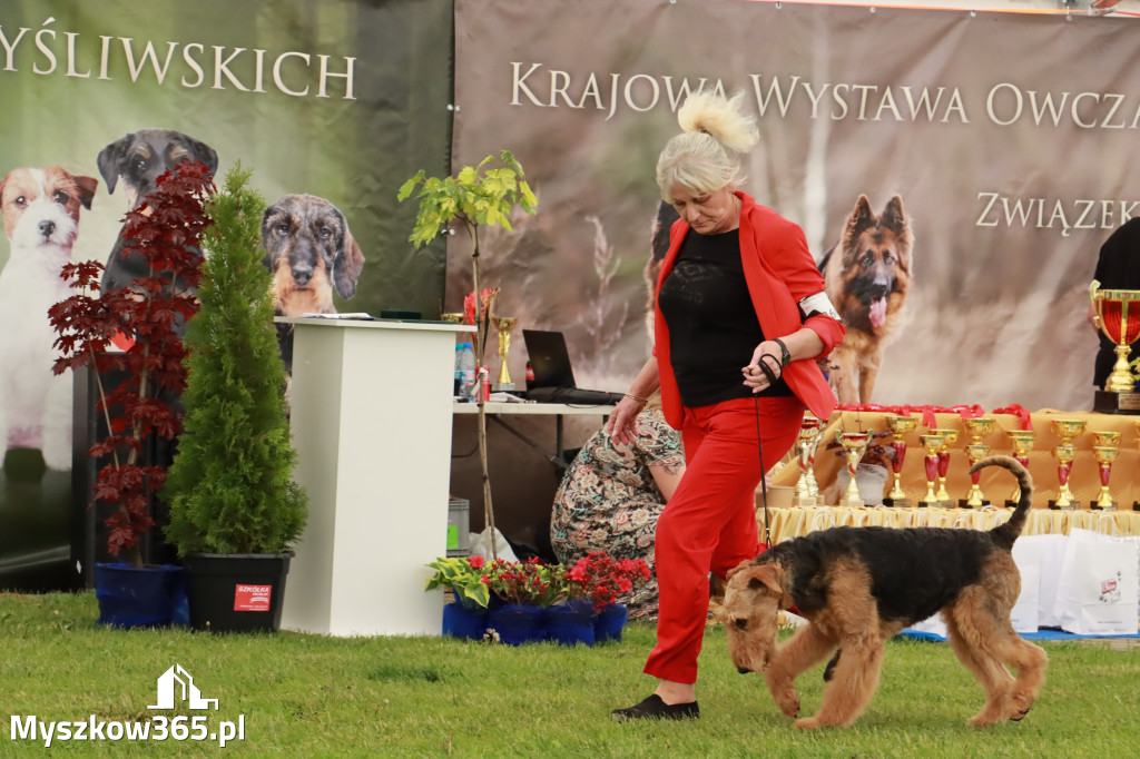 Wystawa Psów Rasowych w GNIAZDOWIE Konkurencje Finałowe