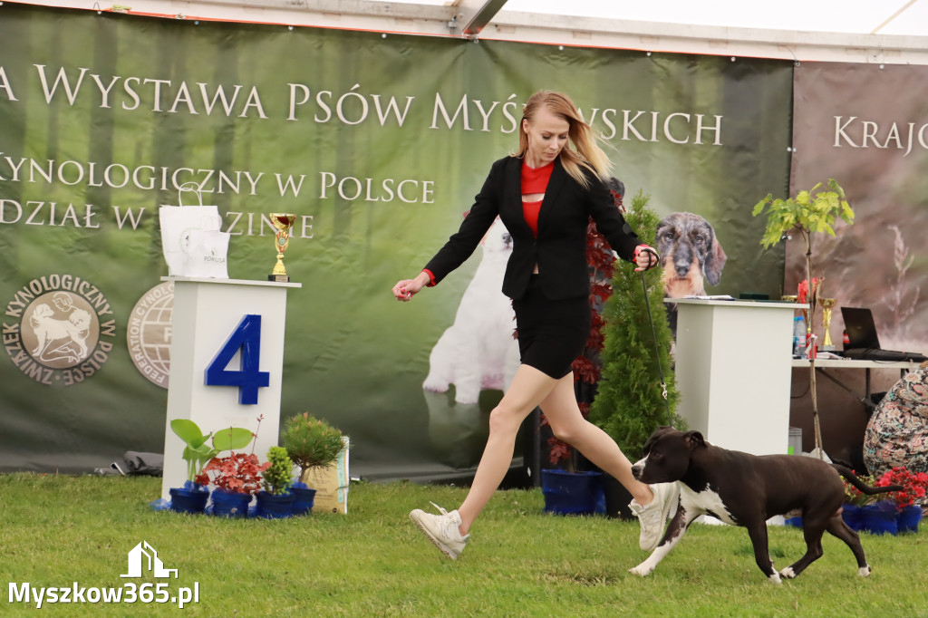 Wystawa Psów Rasowych w GNIAZDOWIE Konkurencje Finałowe